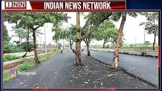 Rs 100 Crore Road Built In Bihar. Problem: Nobody Cut Trees In The Middle