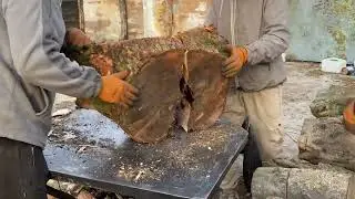 This Forest Job Works Without Chainsaws — Here’s How