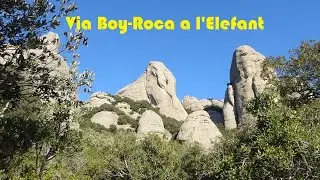 Via Boy Roca a la Trompa de l'Elefant (24.10.2021)