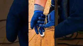 Magnet Fishing for Incredible Treasures