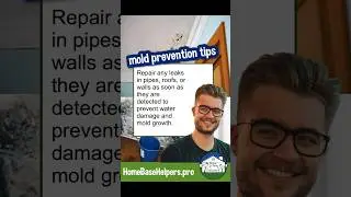 Black mold tips remodeling #blackmold #moldcleanup #homerenovation #shortfeed #basementmakeover