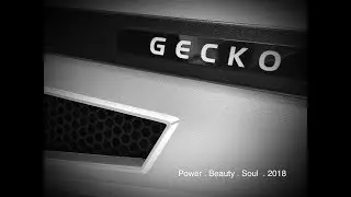 Gecko Audio Canada meets Pink Distortion Music