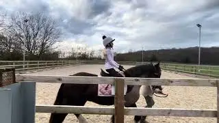 Grace Silvey Riding Toby - My First Dressage Test 2 (Lead Rein) - CDRC Online Dressage January 