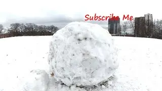 Snowfall | Toronto | Canada | 12/12/2025 | Travel Video #snow #canadalife #snowfall #tanding 