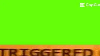 Triggered meme