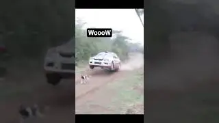 Dog Racing 🤔🧐 #dog #pets #funny #memes #animallife #reels #magic #cat #life #butifyoucloseyoureyes