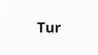 How to pronounce Tur | Тур (Tour in Russian)