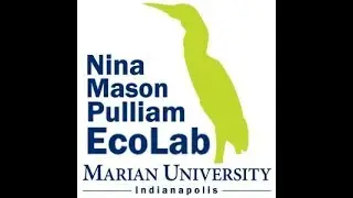Virtual poetry slam: nature edition!
