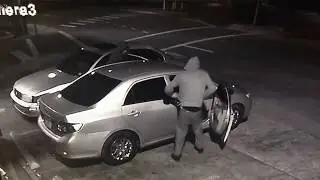 UPDATE: TAMPA POLICE ARREST FOUR IN CARJACKED VEHICLE