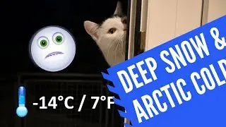 Cat walking in deep snow and reaction to extremely cold weather - so funny :D