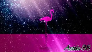 Azido 88 - Leaves