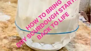 HOW TO BRING DRY SOURDOUGH STARTER BACK TO LIFE