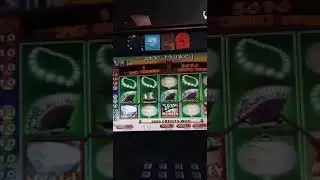 Jade Monkey💚🐵🎰 bonus on a $2 bet #casino #slots #gambling #slotmachine #houston #gameroom #shorts