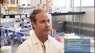 Domoic Acid Decoded: Scientists Discover Genetic Basis for How Harmful Algal Blooms Become Toxic