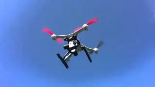 Blade 350 QX in Flight Video