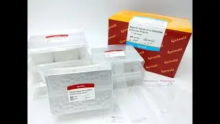 Magnetic Beads Virus DNA/RNA Extraction Plate Kit & SYNC Nucleic Acids Extraction System