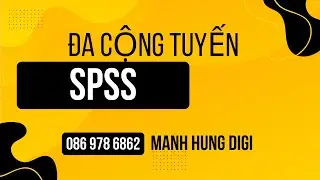 Đa cộng tuyến trong SPSS | Làm gì khi gặp hiện tượng đa cộng tuyến trong mô hình