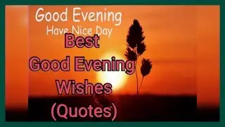 Best Good Evening Wishes - Whatsapp Status, Quotes, Images, SMS - WHY TV