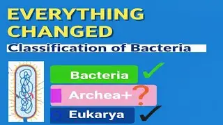 History of classification in Two minutes  |Bacteria|Muhammad Riaz Aurakzai.