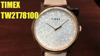 Timex City Crystal Gray Leather Strap Watch TW2T78100