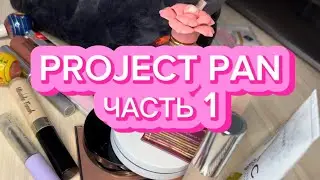 PROJECT PAN | ЧАСТЬ 1 | НАЧАЛО