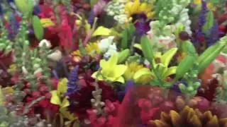 Welcome to Potomac Floral Wholesale -  Washinton DC Area's Ultimate Wholesale Florist