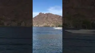 Can&rsquo;t beat the sound of two stroke! #dcb #mach22 #outboards #fastboats #parker #boat #Arizona￼
