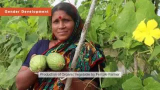 Bangladesh Environment and Development Society