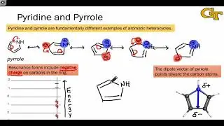 33.02 Pyridine versus Pyrrole