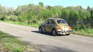 1974 VW SUNBUG VIDEO 1