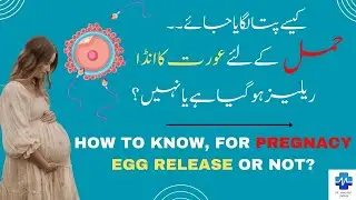 For Pregnancy  Egg Release Or Not ? | حمل کے لئے انڈا ریلیز ہو گیا ہے یا نہیں ؟ | Dr Khalood Imran