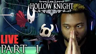 I MAY Have Underestimated Hornet... [Hollow Knight] [Part 1]