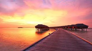Relaxing and Calm Music to Freshen Your Day