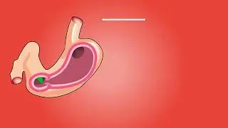 Stomach Function Name & Their Location - 3D Animation Medical Study Video 💯