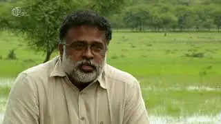 Humanity is but one of millions of living forms on Earth  |  Jagdeesh Rao Puppala