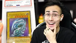 PSA Return Blue Eyes White Dragon!