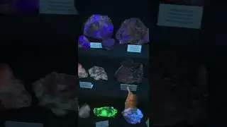 Awesome fluorescent rock display at the truth or consequences New Mexico Geronimo springs museum.