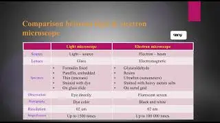 Microscopes: types, stains and comparison between LM vs EM 