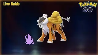 Pokemon go raid invite Raikou | Calm Explorer  is live! 🛑