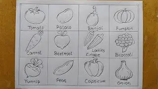 Different types of Vegetables drawing easy| How to different Vegetable drawing| Vegetable chart