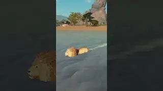 Getting CHASED in Savannah Life | ROBLOX Savannah Life #roblox #animals #games #rblx #elephant #lion