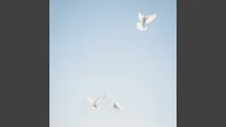 Let Everything That Has Breath (Live)