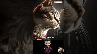 Superhero But Super Cat 💥 6 Characters Marvel & Dc #avengers #shorts #marvel