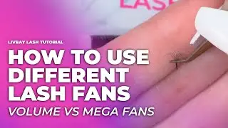 Lash Extensions for Beginners - Volume Fans Vs. Mega Volume Fans