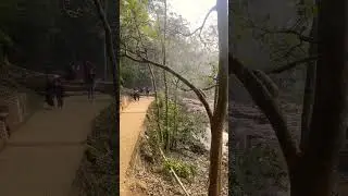 Way to Corbett Fall, Ramnagar #nature #shorts #ytshorts