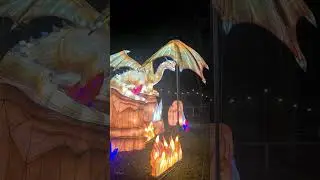 Epic Dragon Illuminations Yorkshire Wildlife Park #dragon #art #mythology #history #travel