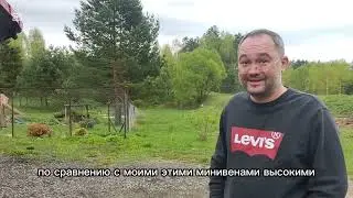 Полноценный обзор на Smart Four Four. Отличная машина за миллион под ключ 🔑