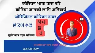 Native Korean Numbers in nepali || Original Korean Numbers नेपालमा || Korean Number System in nepali