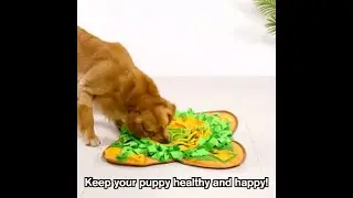 INTERACTIVE DOG SNUFFLE MAT