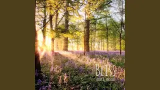 Bliss